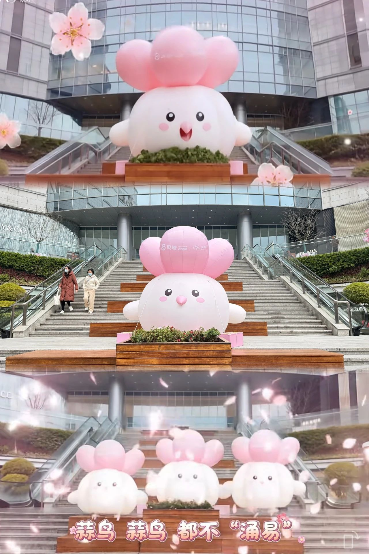 ��ҳ|�ڲ��������רҵ�������Ϊ��!