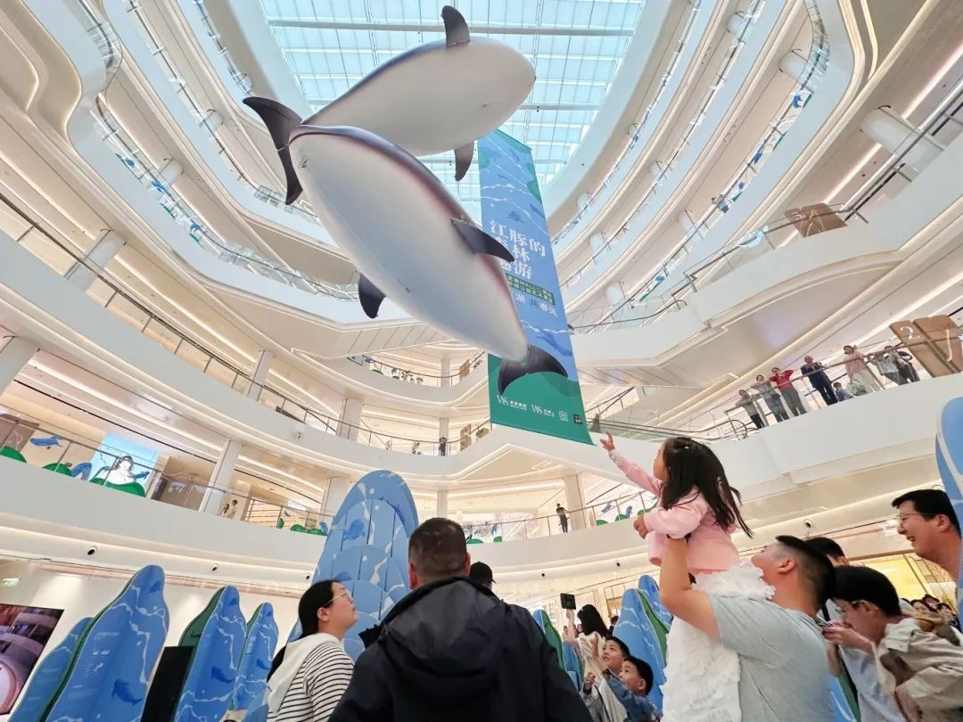 ��ҳ|�ڲ��������רҵ�������Ϊ��!