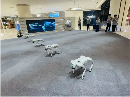 684cf6e4748b5 Ê×Ò³|ÌÚ²©»á¹ÙÍø¡¤×¨Òµ·þÎñ³ÏÐÅΪ±¾!