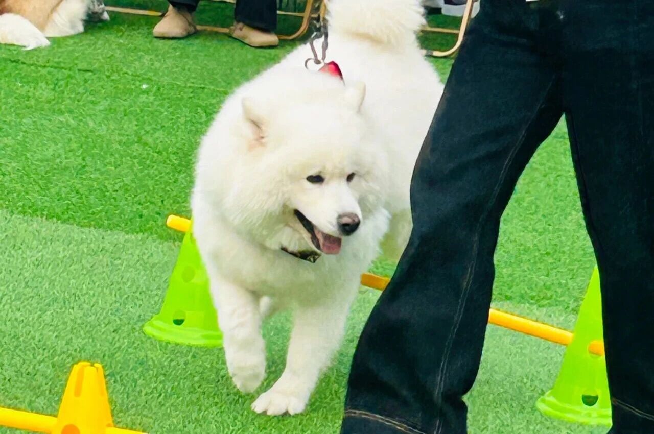 692eb75fca286 Ê×Ò³|ÌÚ²©»á¹ÙÍø¡¤×¨Òµ·þÎñ³ÏÐÅΪ±¾!