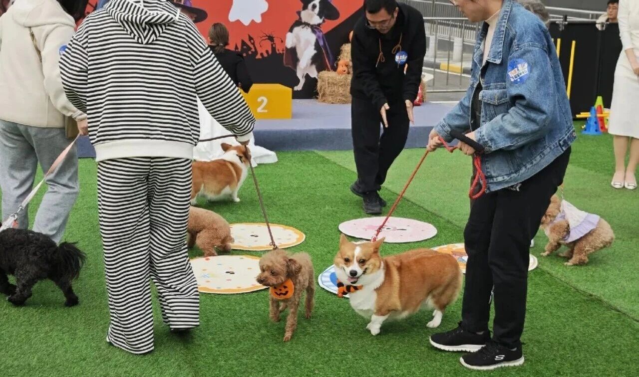 692eb77046c27 Ê×Ò³|ÌÚ²©»á¹ÙÍø¡¤×¨Òµ·þÎñ³ÏÐÅΪ±¾!