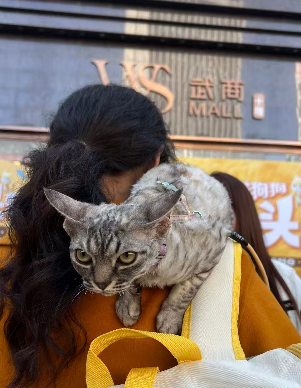 ��ҳ|�ڲ��������רҵ�������Ϊ��!