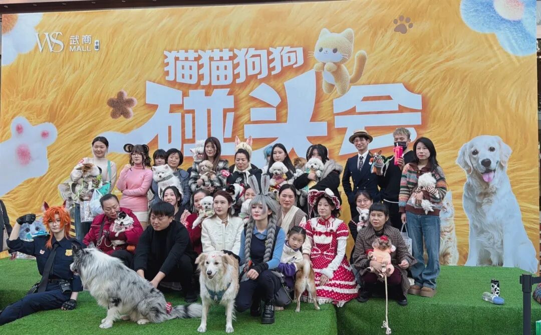 ��ҳ|�ڲ��������רҵ�������Ϊ��!