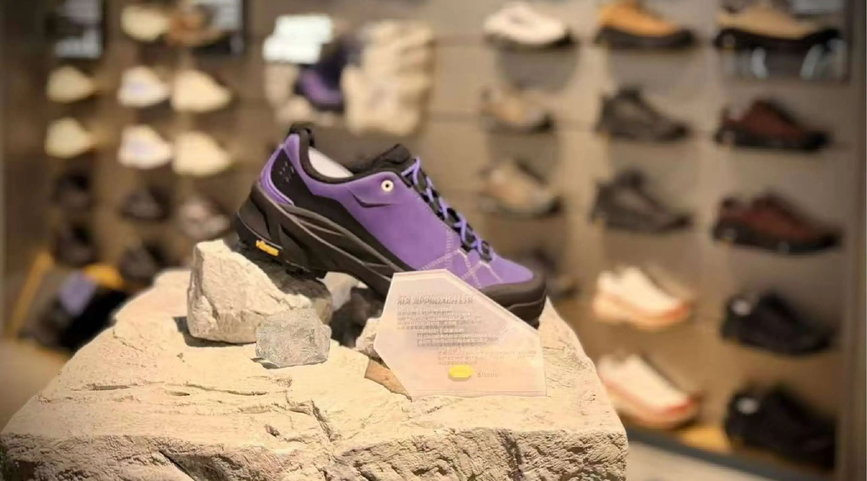 ��ҳ|�ڲ��������רҵ�������Ϊ��!