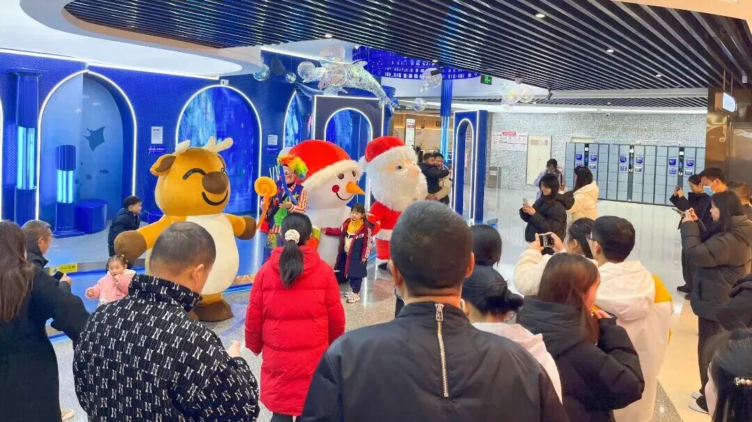 ��ҳ|�ڲ��������רҵ�������Ϊ��!