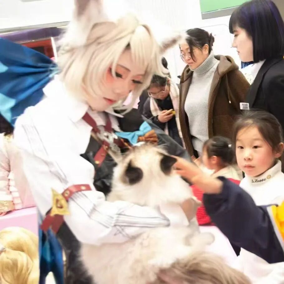 ��ҳ|�ڲ��������רҵ�������Ϊ��!