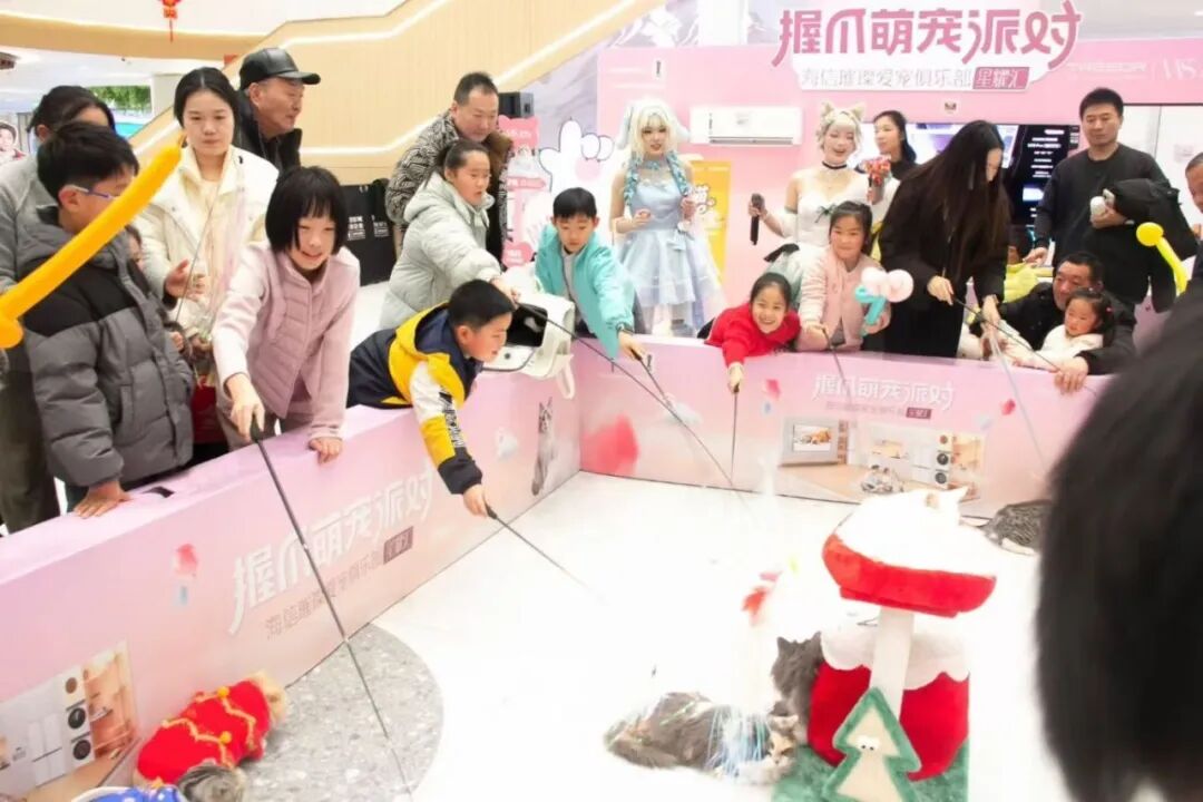 ��ҳ|�ڲ��������רҵ�������Ϊ��!