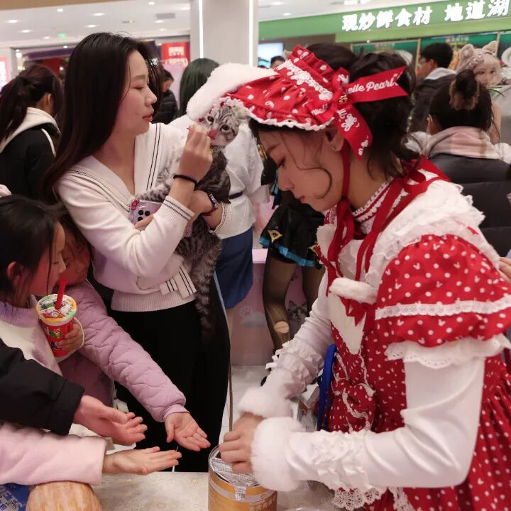 ��ҳ|�ڲ��������רҵ�������Ϊ��!