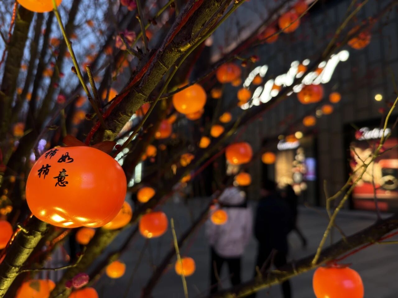 ��ҳ|�ڲ��������רҵ�������Ϊ��!