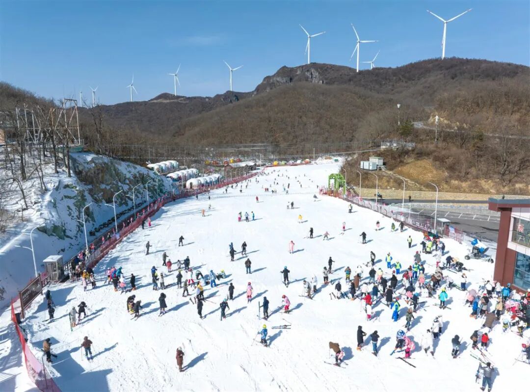 ��ҳ|�ڲ��������רҵ�������Ϊ��!