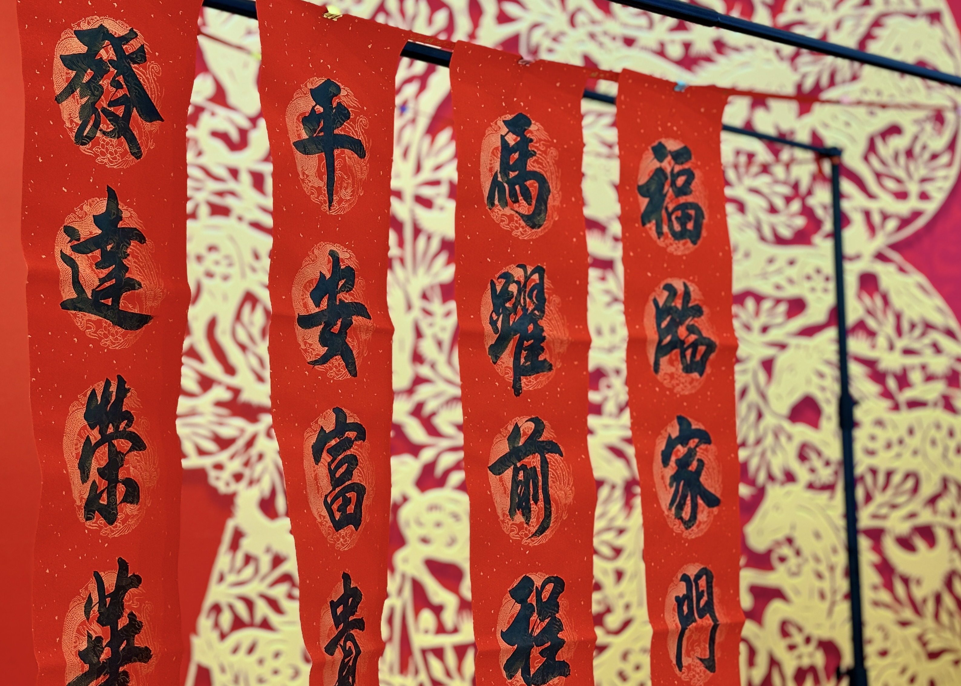 ��ҳ|�ڲ��������רҵ�������Ϊ��!