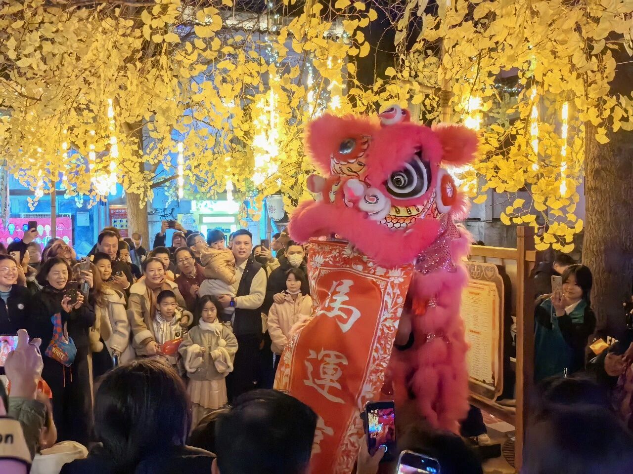 ��ҳ|�ڲ��������רҵ�������Ϊ��!