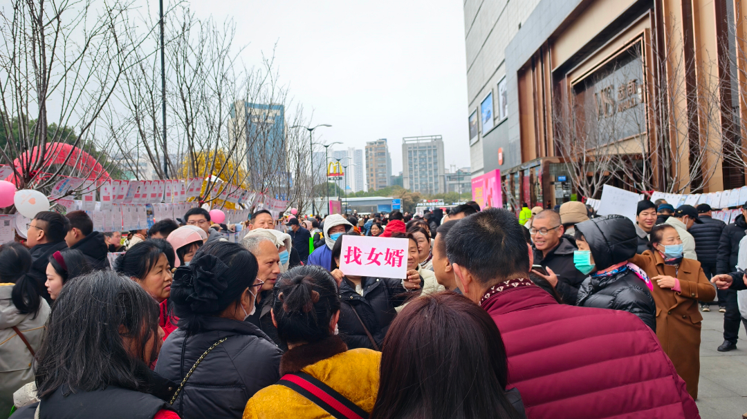 ��ҳ|�ڲ��������רҵ�������Ϊ��!